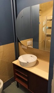 DSC 1300